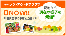 キャンプ最新情報