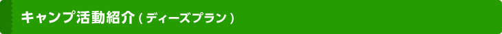 キャンプ活動紹介(ディーズプラン)