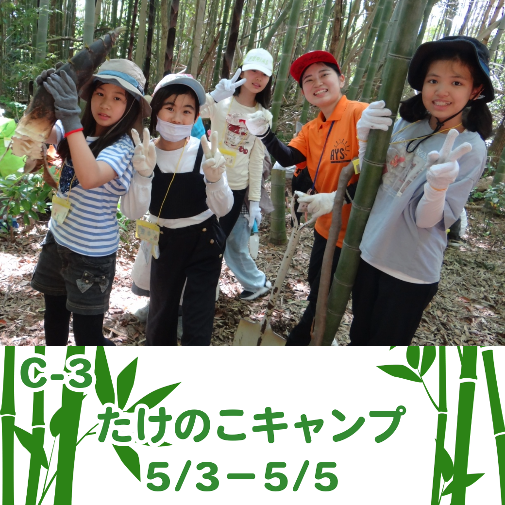 資料ダウンロード