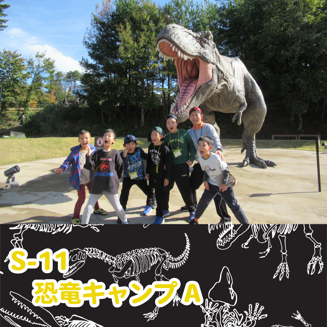 資料ダウンロード