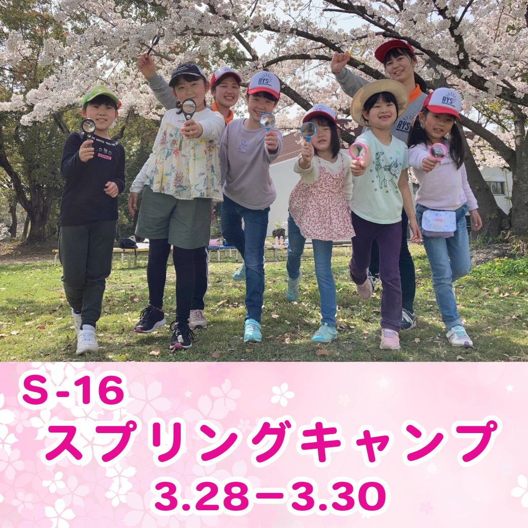 資料ダウンロード