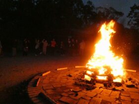 ●　C-1-4　0186_xlarge