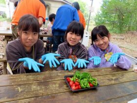 ●　C-1-5　0351_xlarge